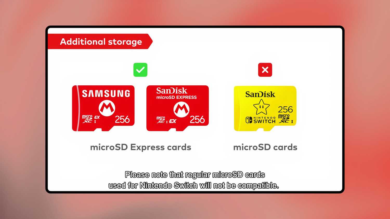 Nintendo Switch 2 Additional Storage