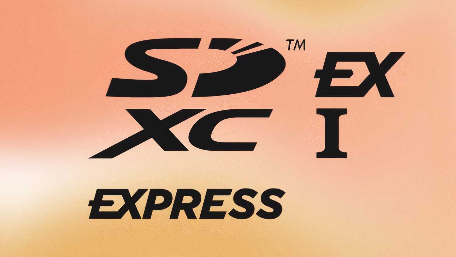 SD Express logo