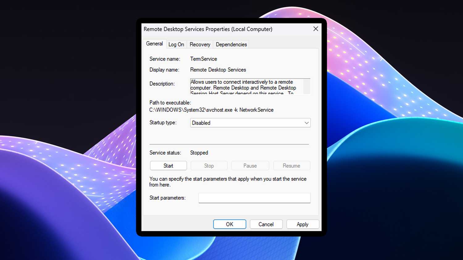 Windows 11 Remote Desktop service.