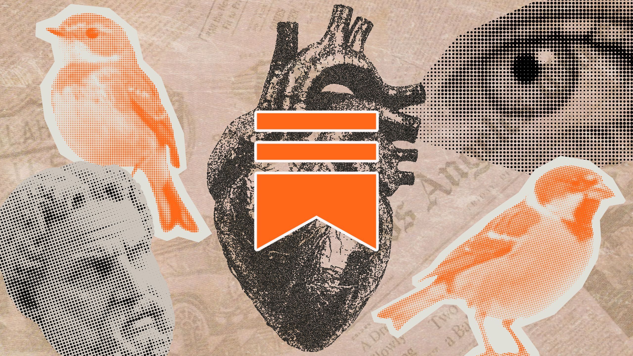 Kelsey's Substack vintage collage. 