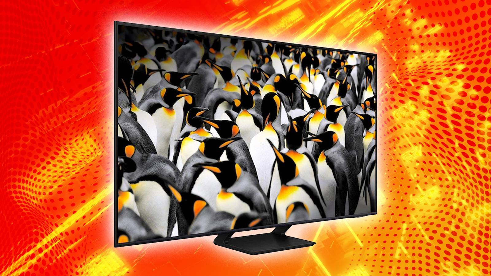 Penguins on a TV. 