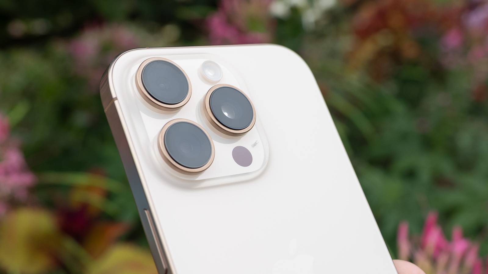 Apple's most innocuous app can cause your iPhone to crash hard.