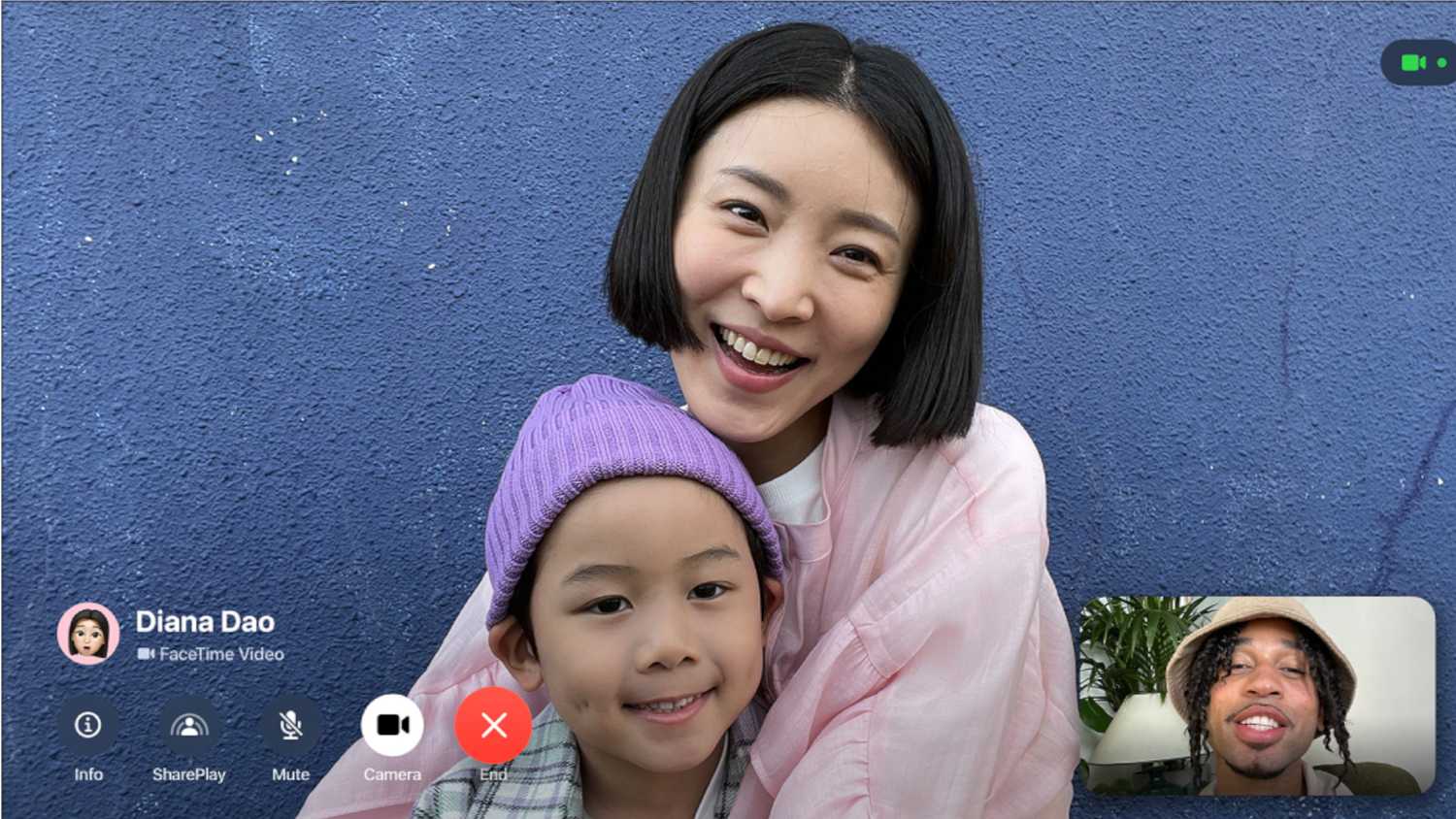 Taking a FaceTime call in tvOS 18.