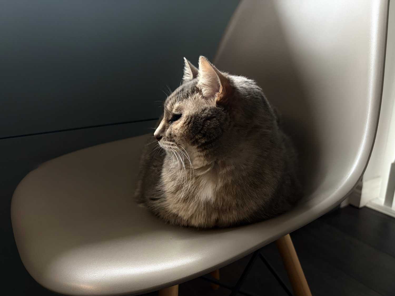 iPhone 17 sample photo