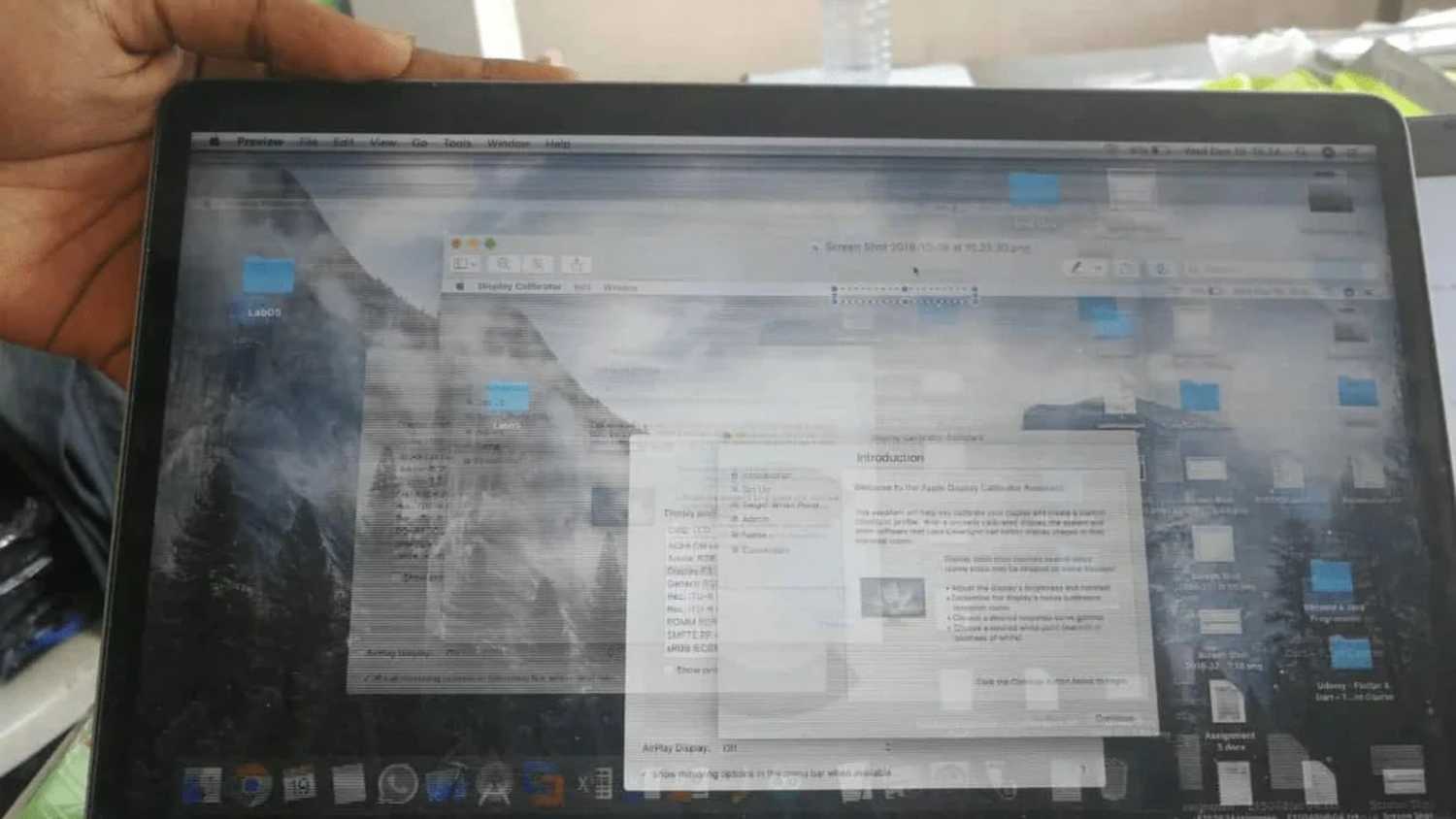 A Reddit user's damaged display. 