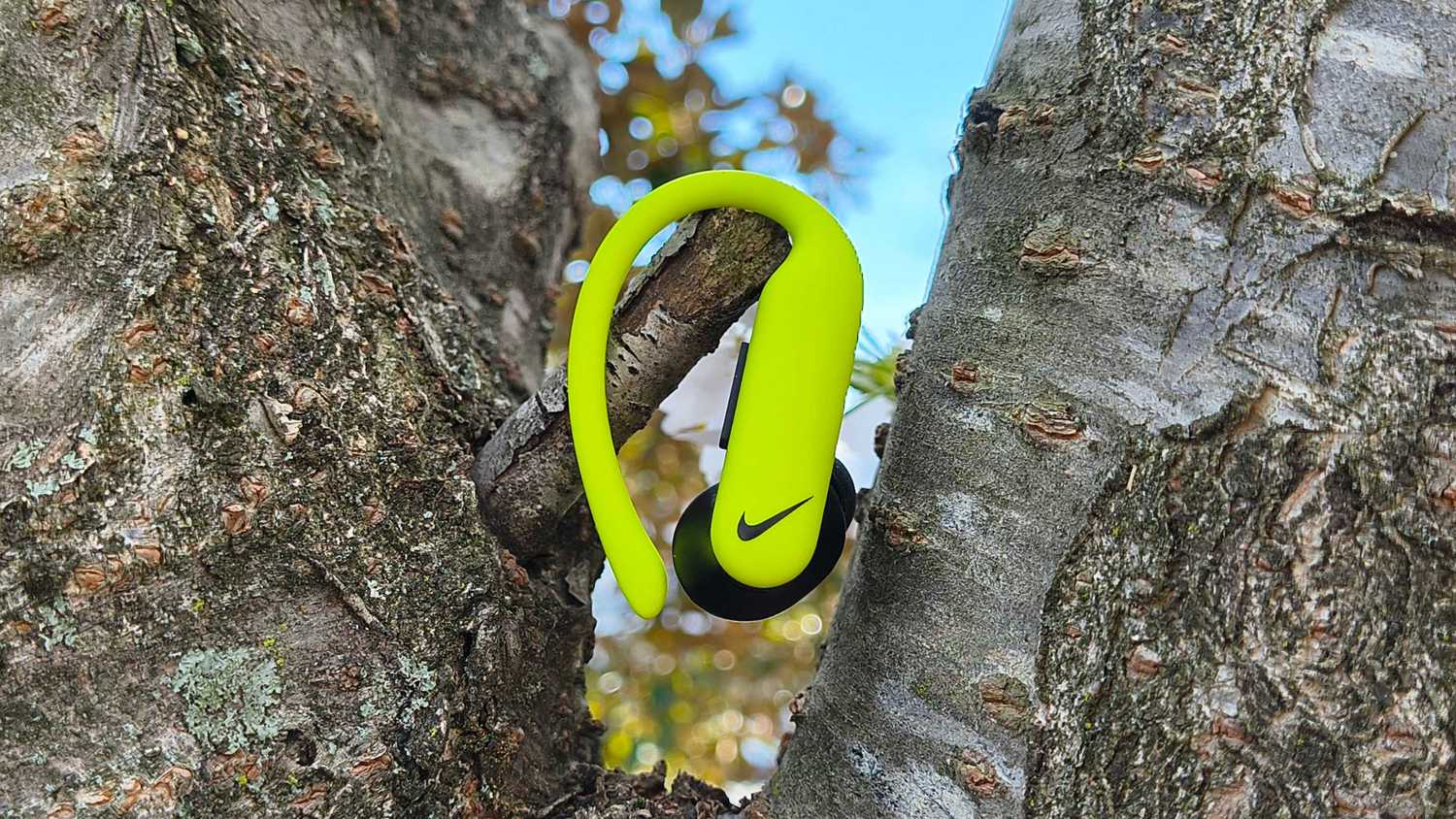 Powerbeats Pro 2 in a tree.