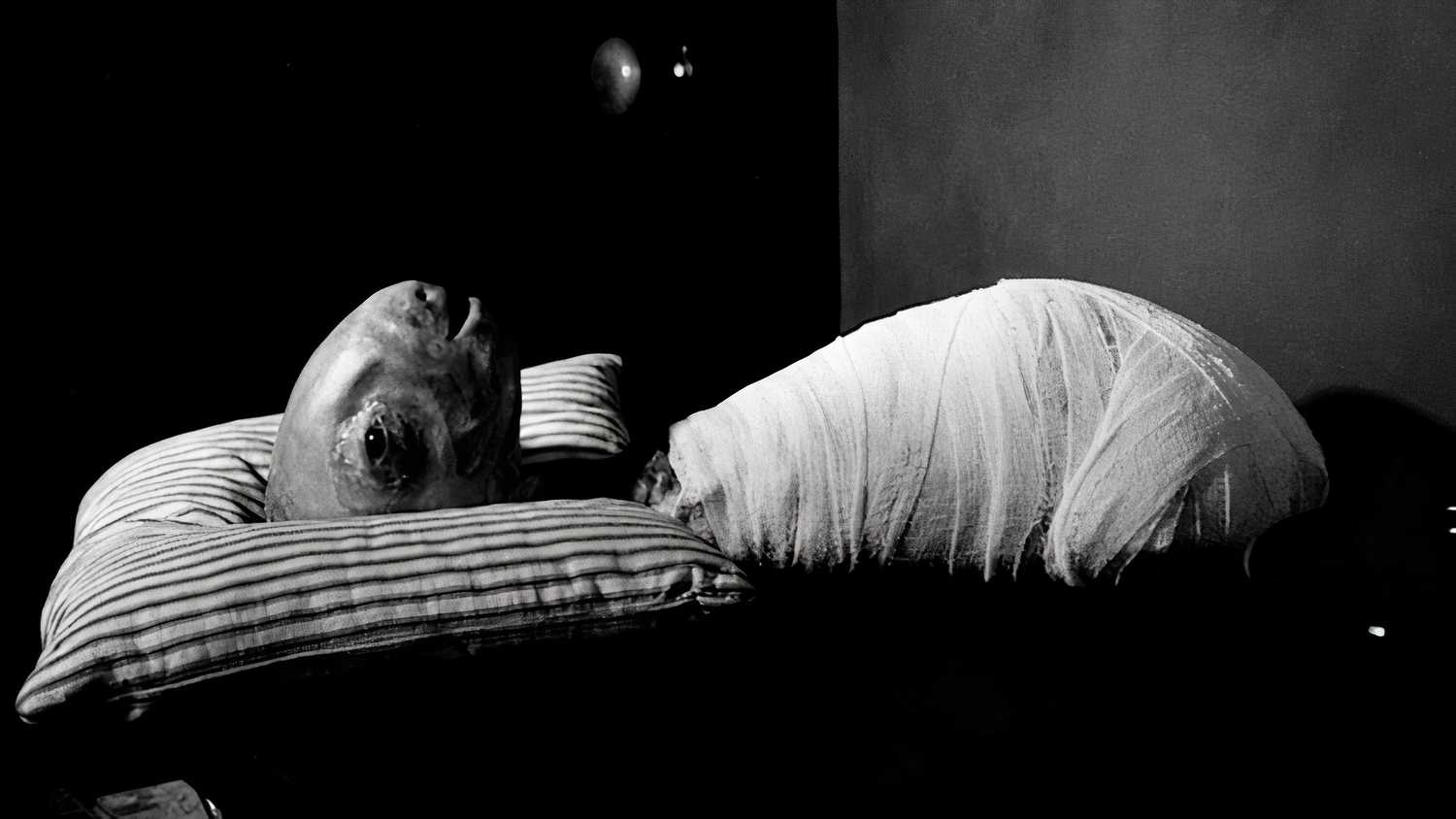 The baby from David Lynch's Eraserhead.