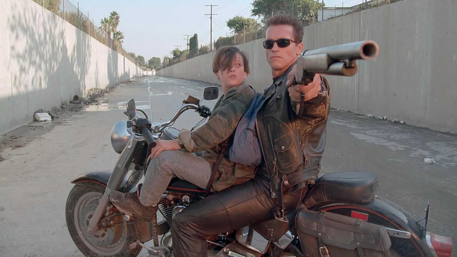 Terminator Donald 3 DVDs that are better than their 4K UHD re-releases
