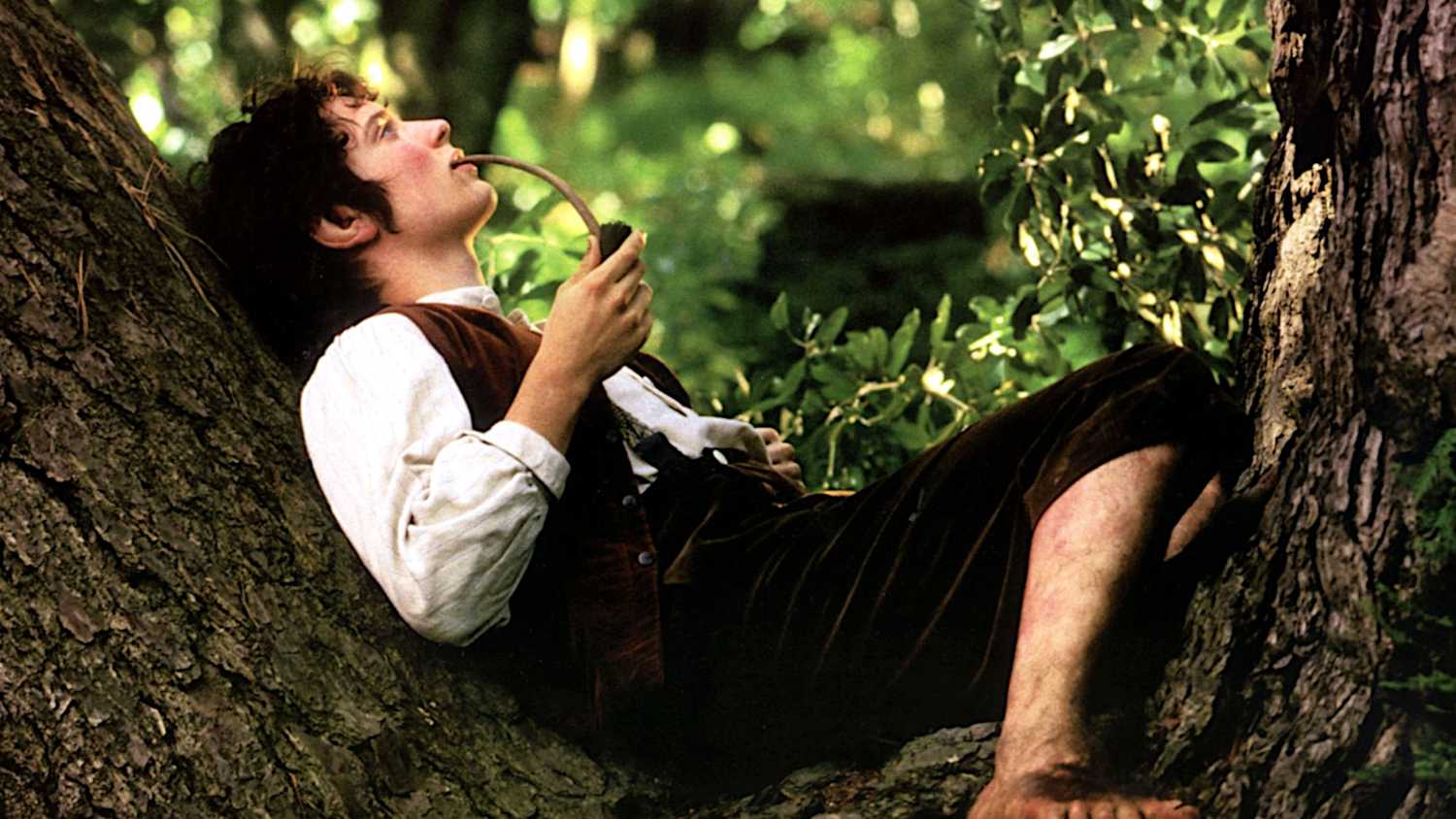 Frodo in The Lord of the Rings: The Fellowship of the Ring.