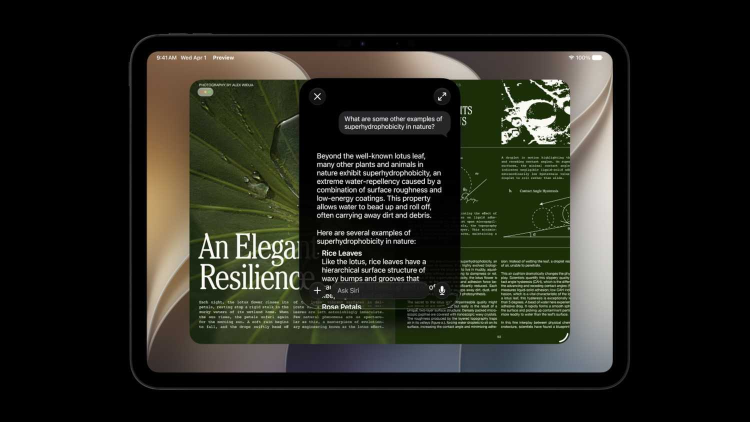 Chatting with Siri AI in iPadOS 27.