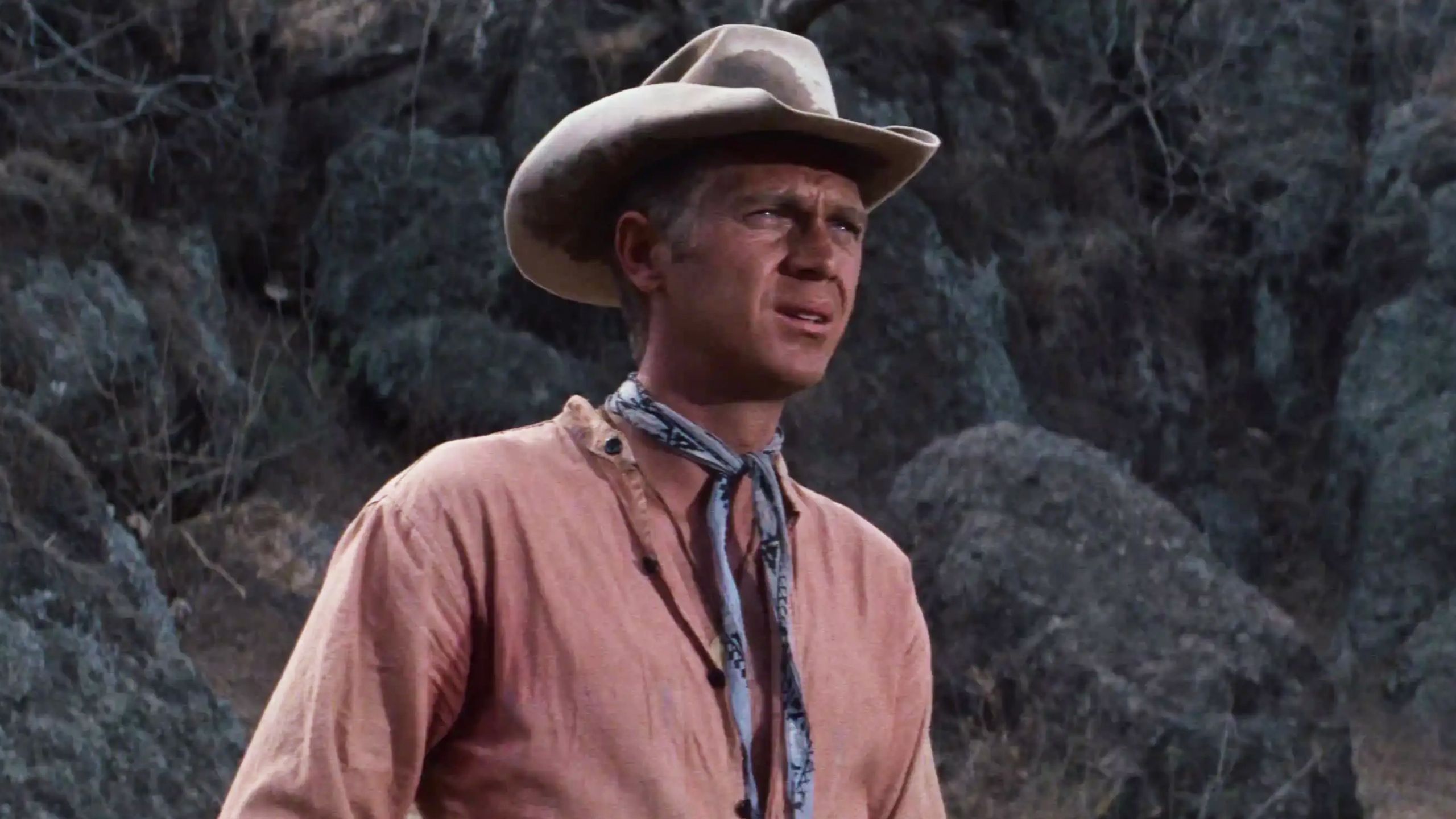 2 of the best Western movies of all time are finally free to stream