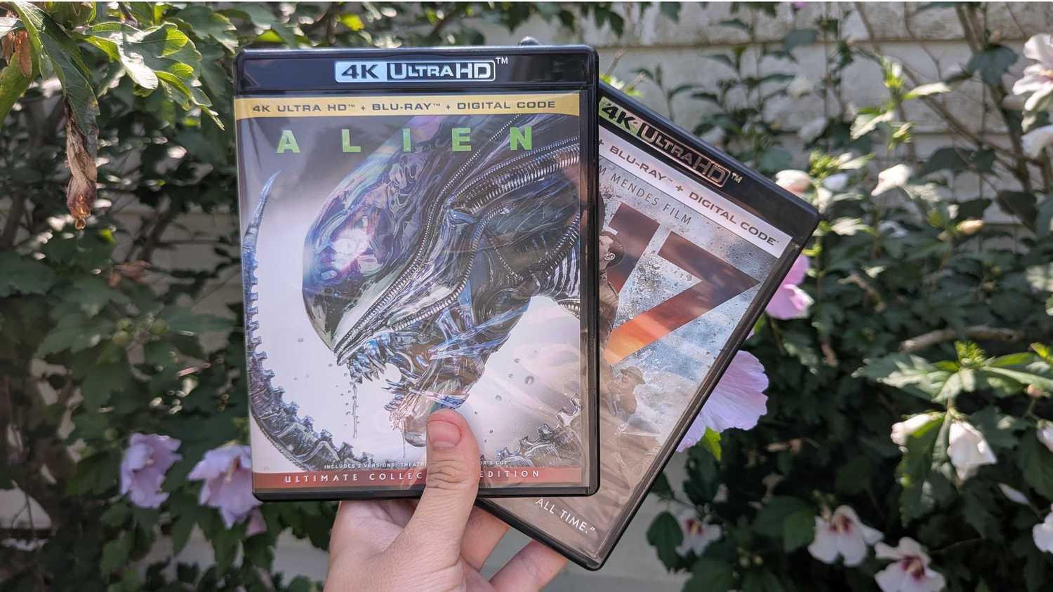 A person holding the Alien and 1917 4K Blu-ray cases.