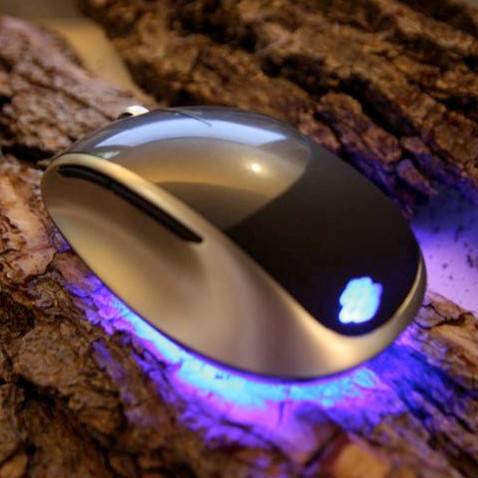 Microsoft Explorer Mouse