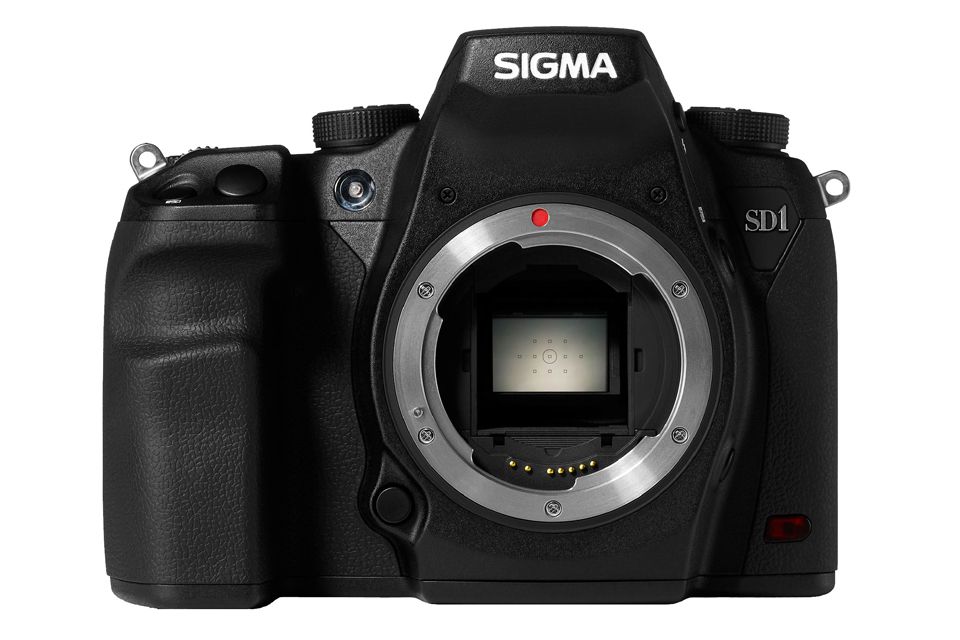 Sigma SD1 (Merrill)
