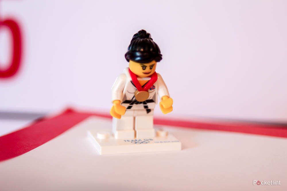 Lego judo online minifigure