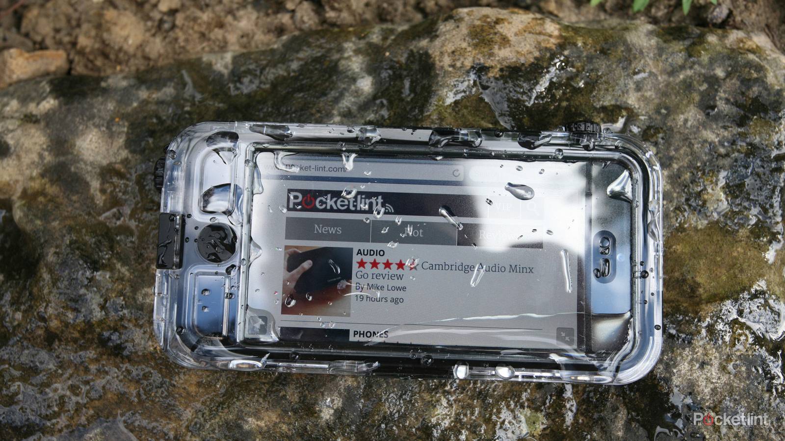 6.1-inch iPhones going on sale first, says supply-chain report - 9to5Mac, image size:1600x900