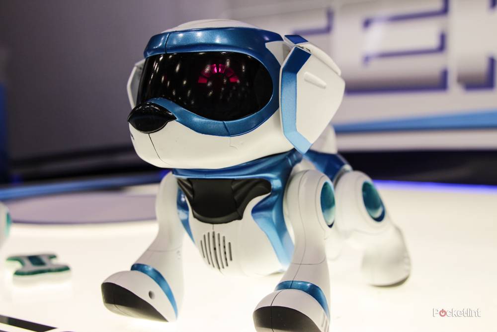 Teksta robotic dog already selling out for Christmas, says Hamleys ...