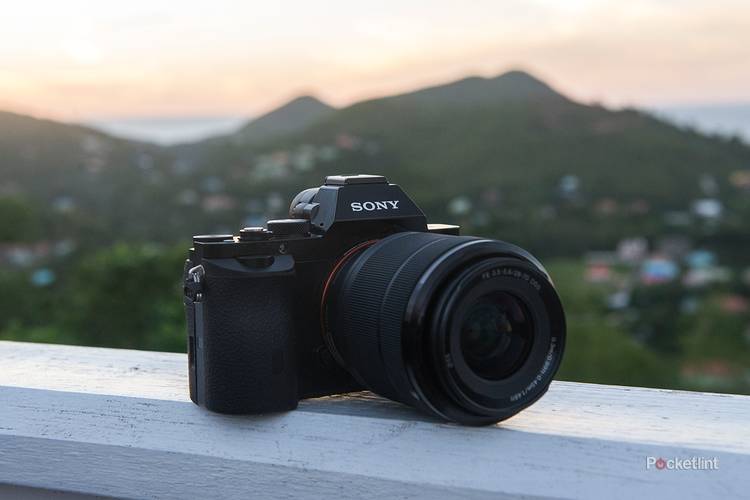 The best professional-grade cameras 2024: Expert tested and reviewed
