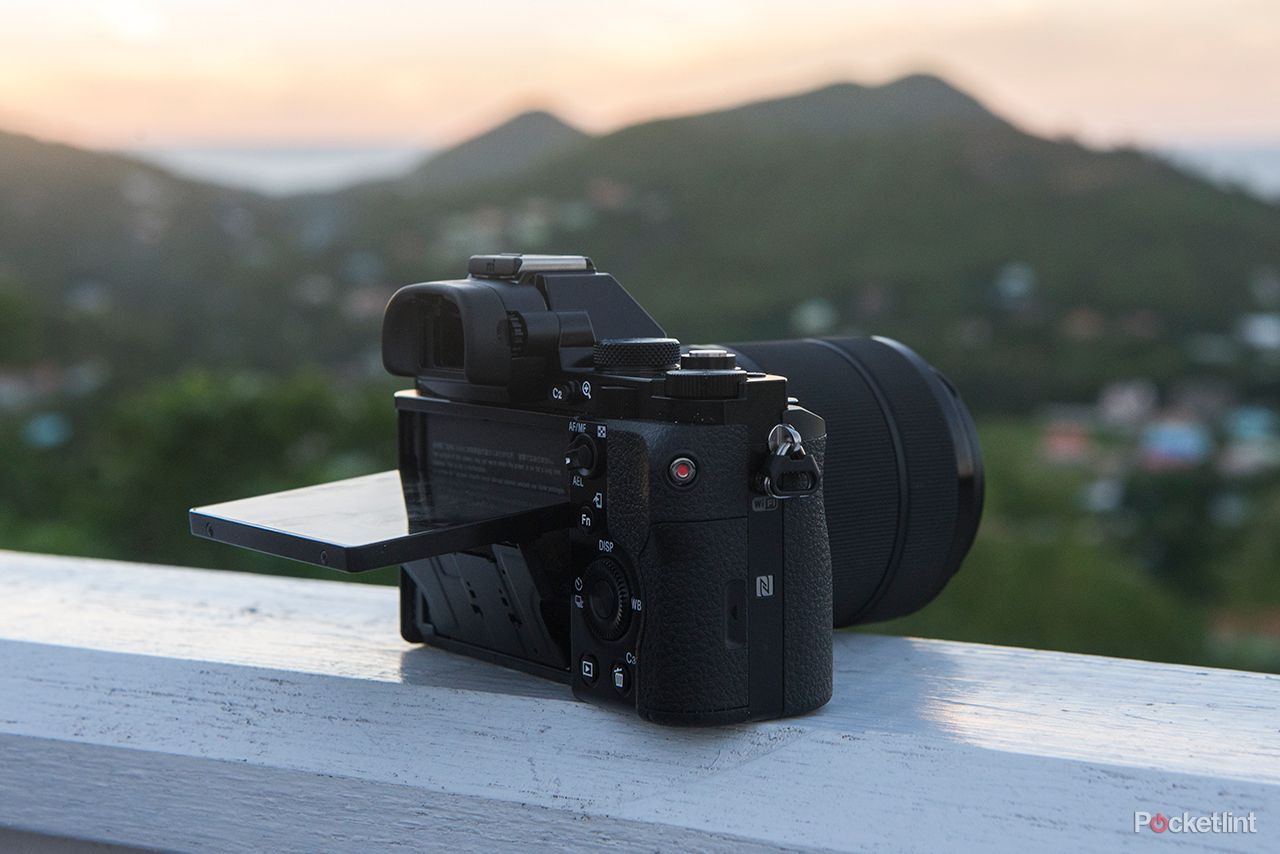 sony alpha a7r review image 3