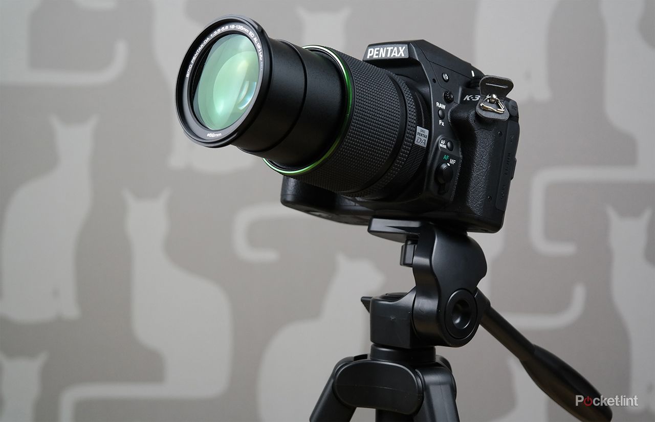 Digital Cameras Top Professional Cameras For Beginners Best