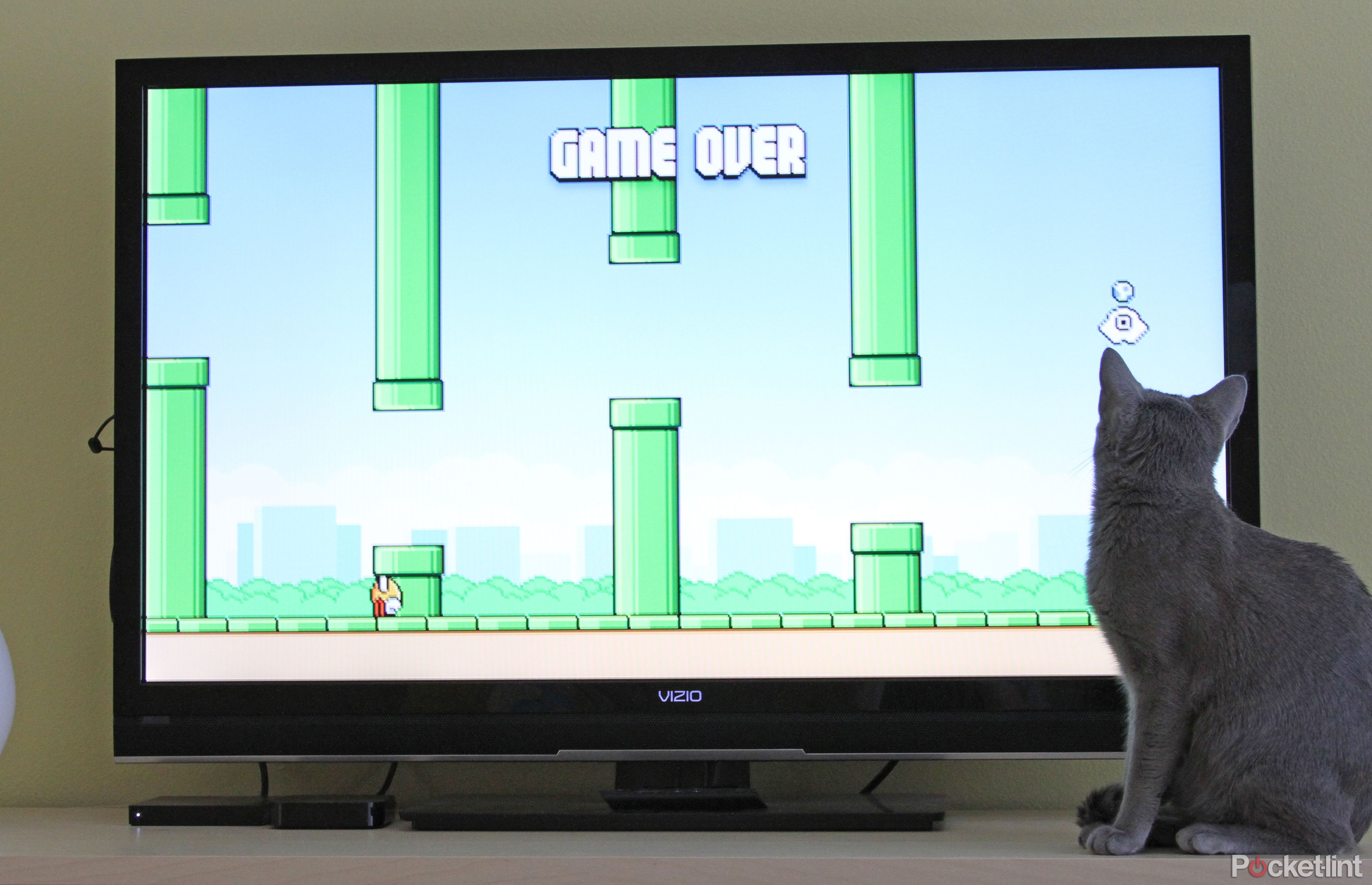 If you're missing Flappy Bird then try  Fire TV