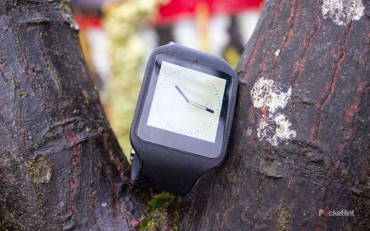 sony smartwatch 3 vibration einstellen Rabbit Vibrator mit Saugfunktion main image 1
