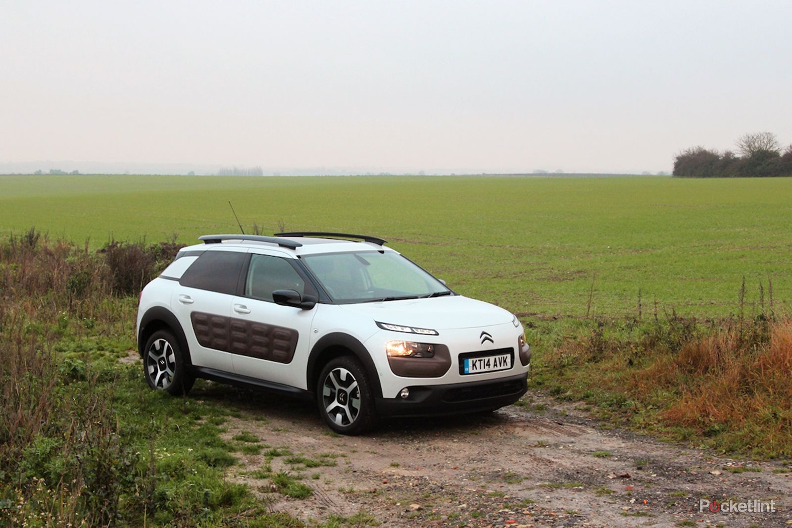 Citroen C4 Cactus review: A thorn in the side for the competition