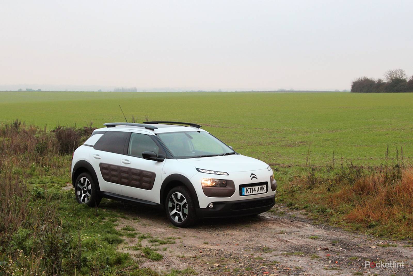 Citroen C4 Cactus review: A thorn in the side for the competition