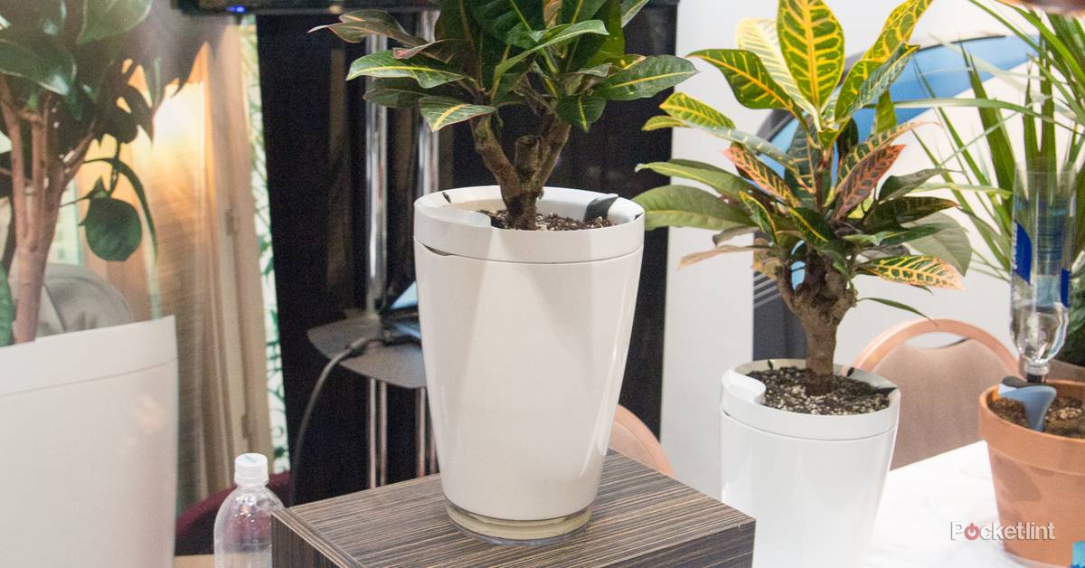 Parrot Pot and Parrot H2O: Two new sensors to make sure your plants never  die