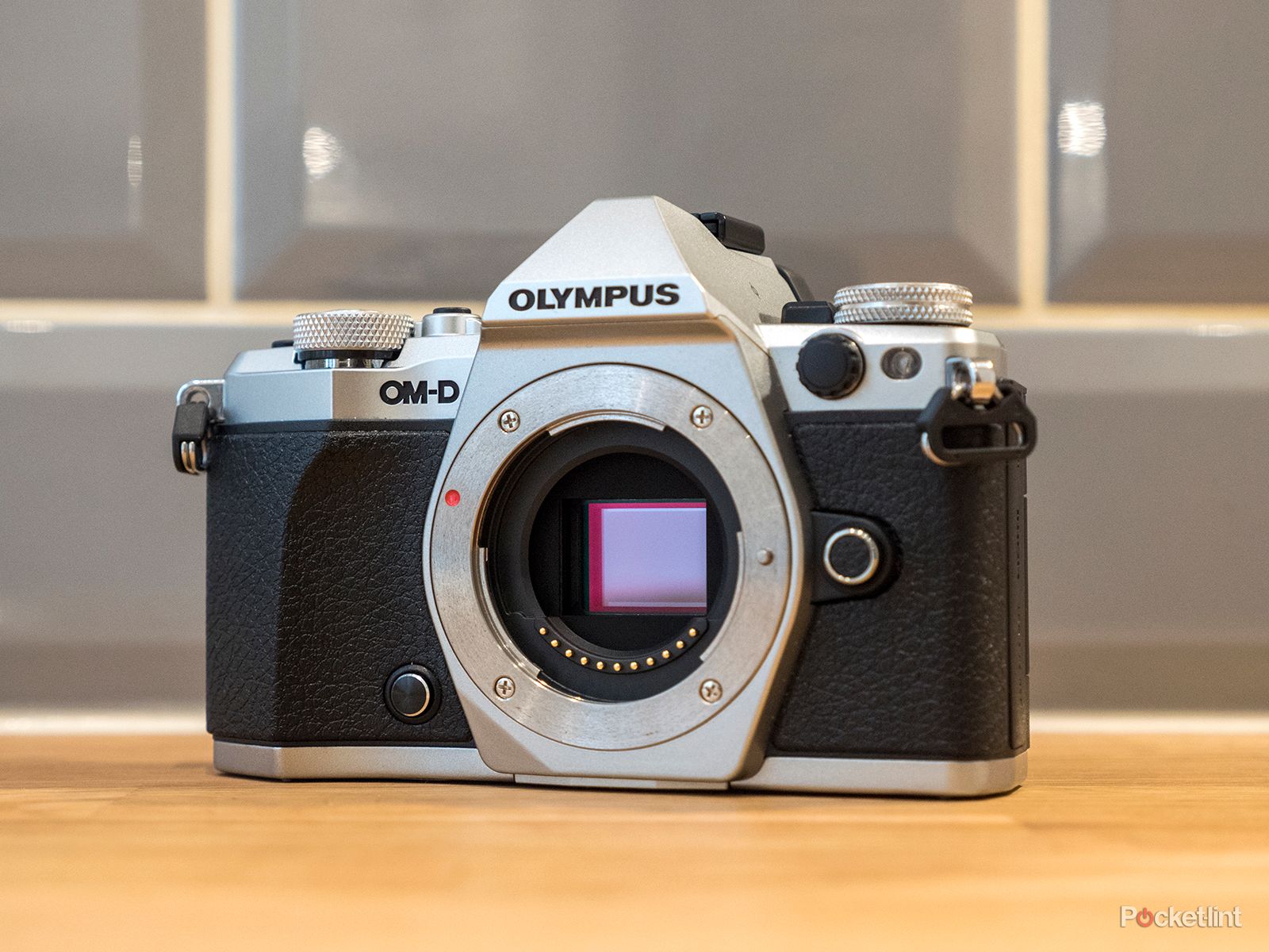 OLYMPUS - （今週末まで出品）OLYMPUS OM−D E−M5 Mark II　美品 ミラーレス一眼 OM-D：OLYMPUS OM-D E-M5 Mark II：カメラ製品