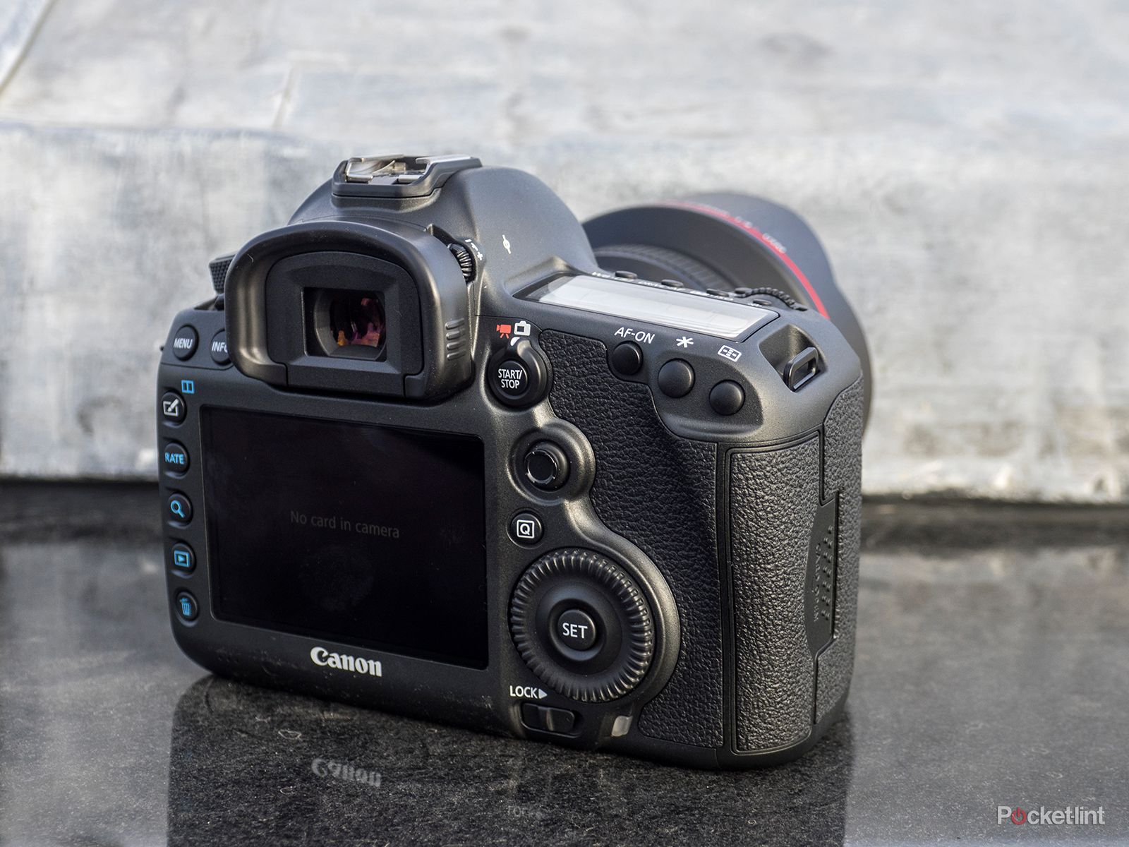 Best DSLR cameras in 2024