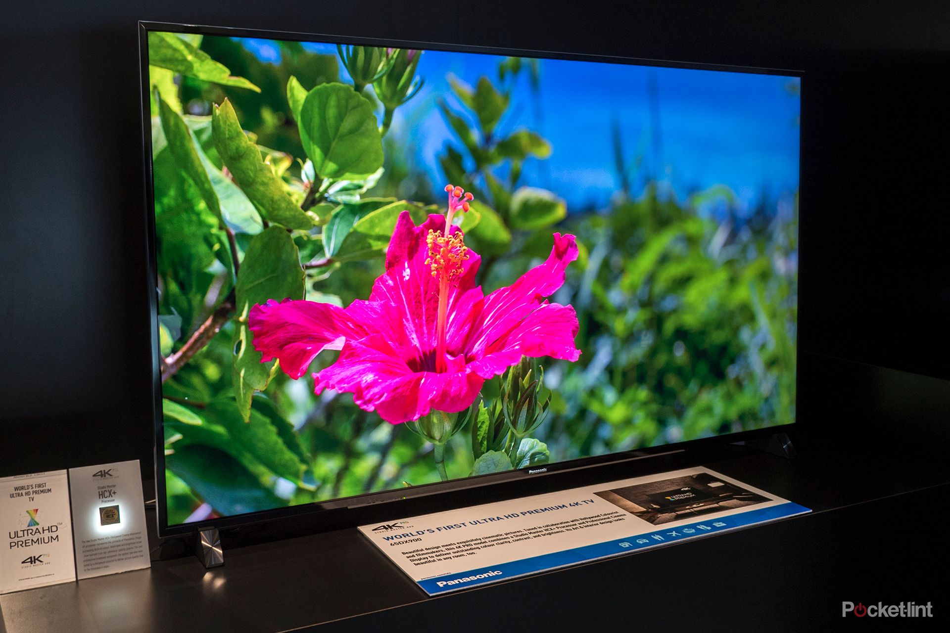 Panasonic Viera DX902 4K TV review: Honeycomb-sweet picture