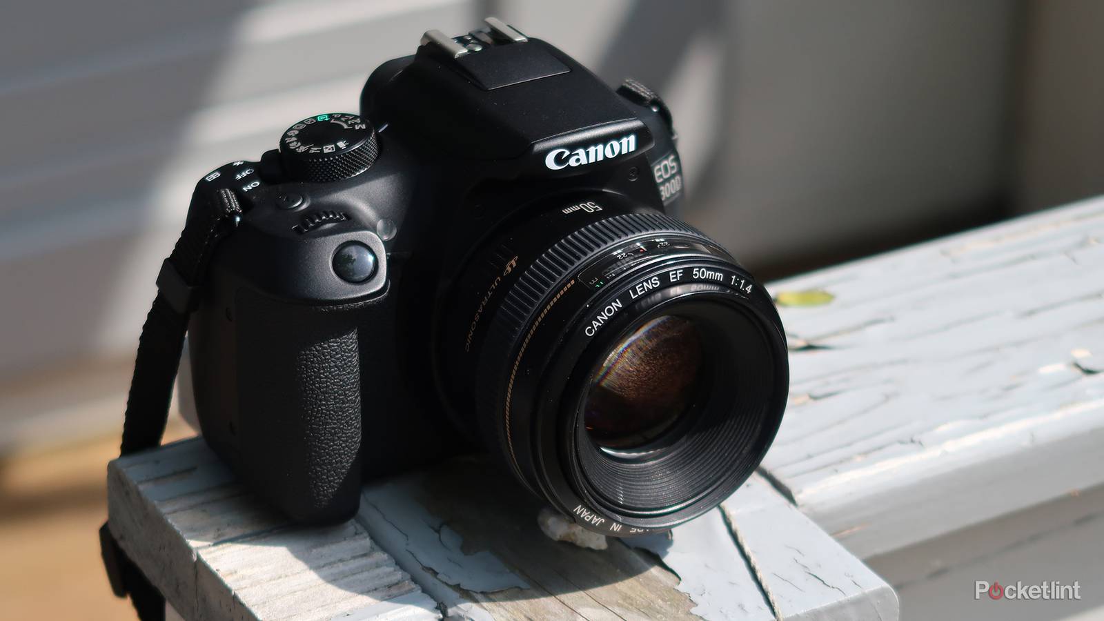 Canon EOS 1300D review: Entry-level ace?