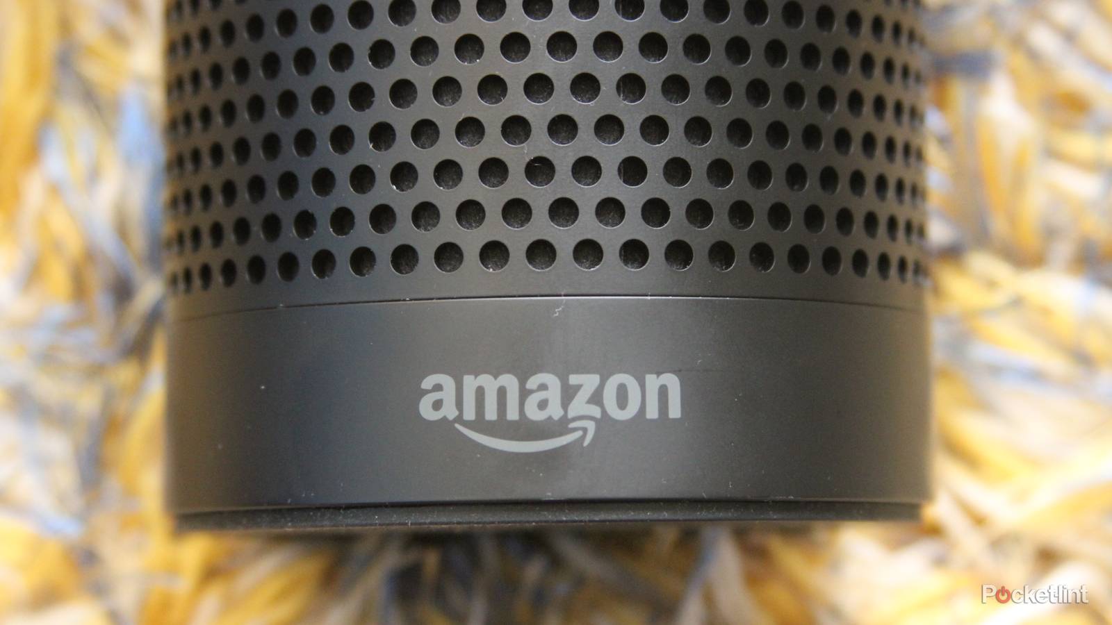 Amazon might launch a paid music-streaming service that works with Echo