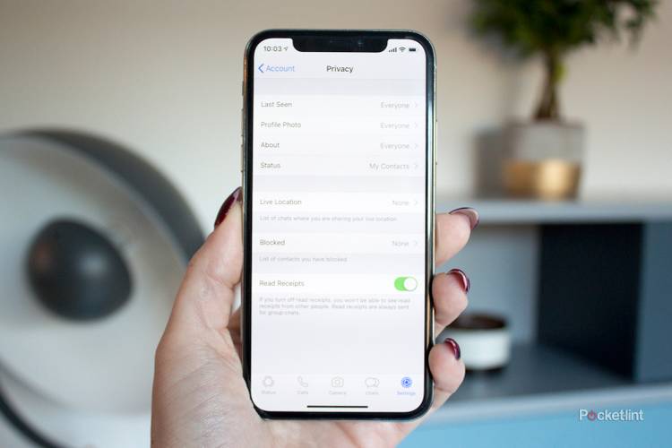 How to hide your IP address on WhatsApp and other privacy tips