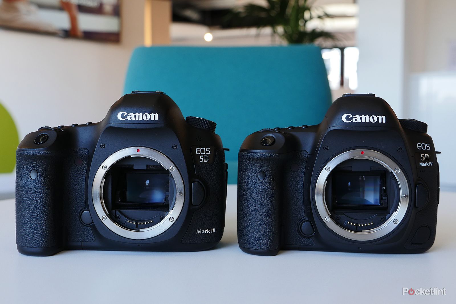 Canon EOS 5D Mark IV review: The 30-megapixel monster