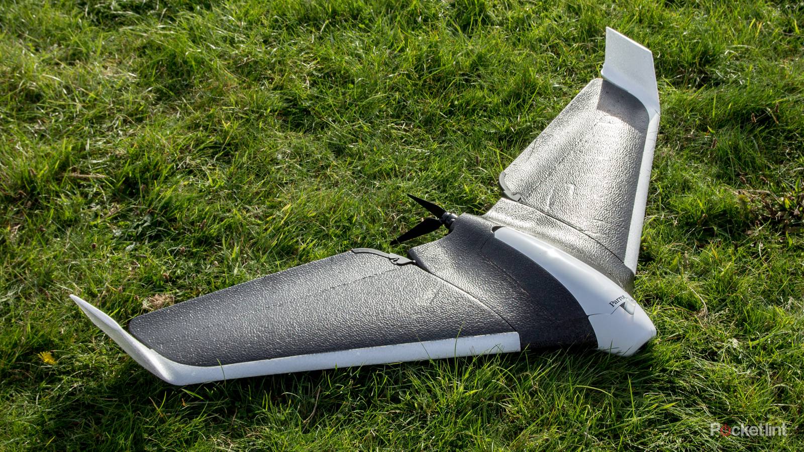 Parrot Disco: Die Drohne für Modellflieger