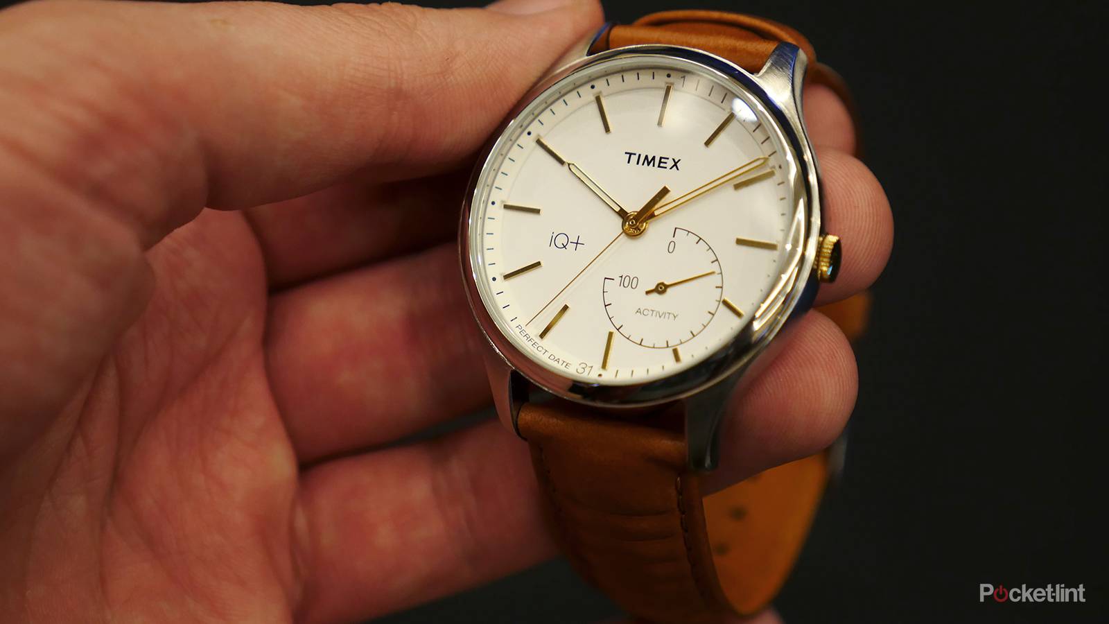 Timex IQ+ Move preview: Mensa about motion