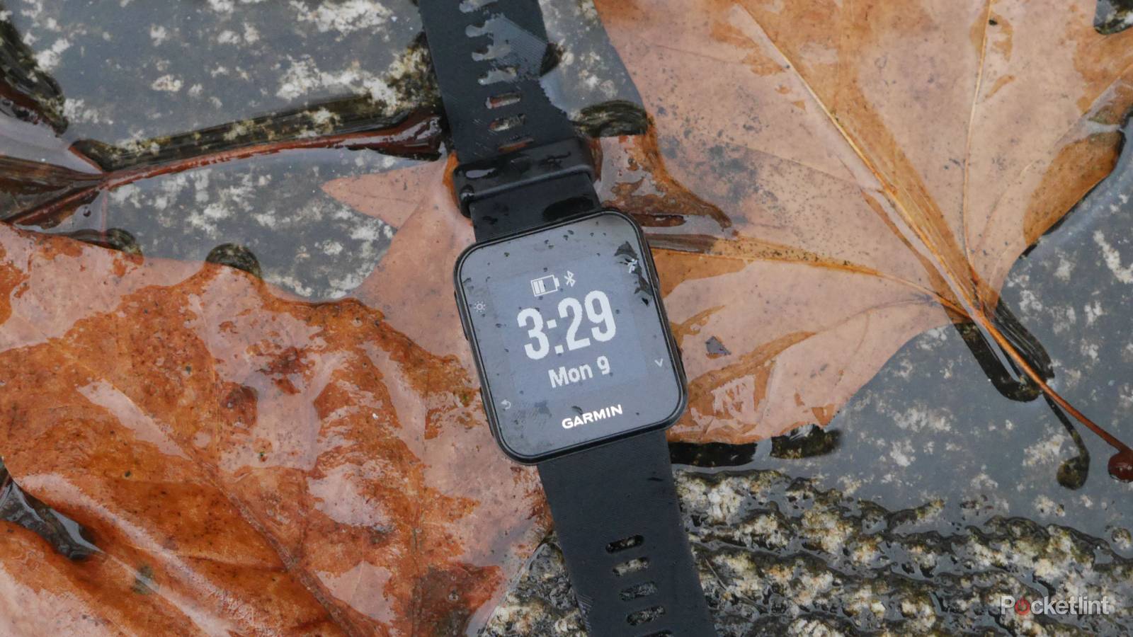 Garmin Forerunner 35 review: An affordable, effective running watch