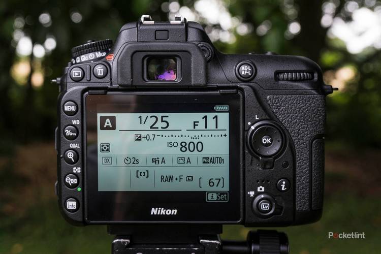 Settings D7500 4k Nikon D7500 Review: Better Than The Canon 80D?