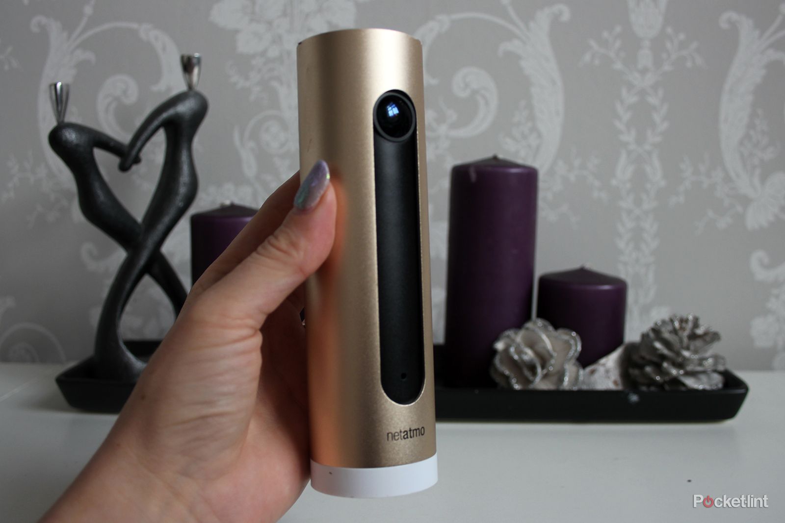 Netatmo Welcome pet detection update lets you follow Fido around