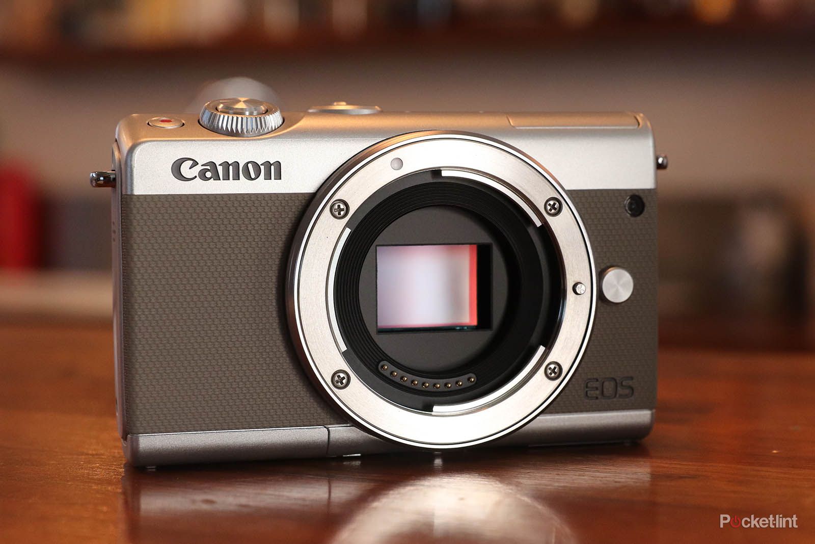 Canon EOS M100 review: Pocketable point-and-shoot makes mirrorless