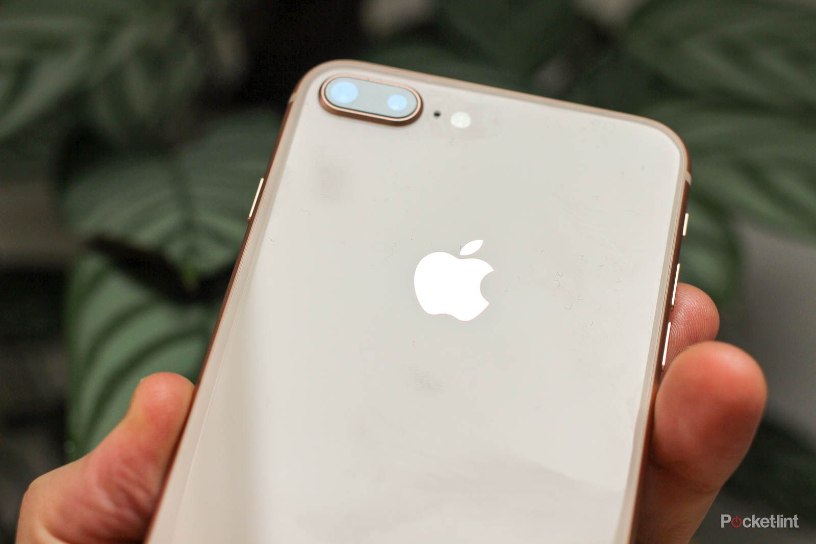 Apple Apple iPhone 8 Plus ゴールド 64GB simフリー び美品 iPhone 8