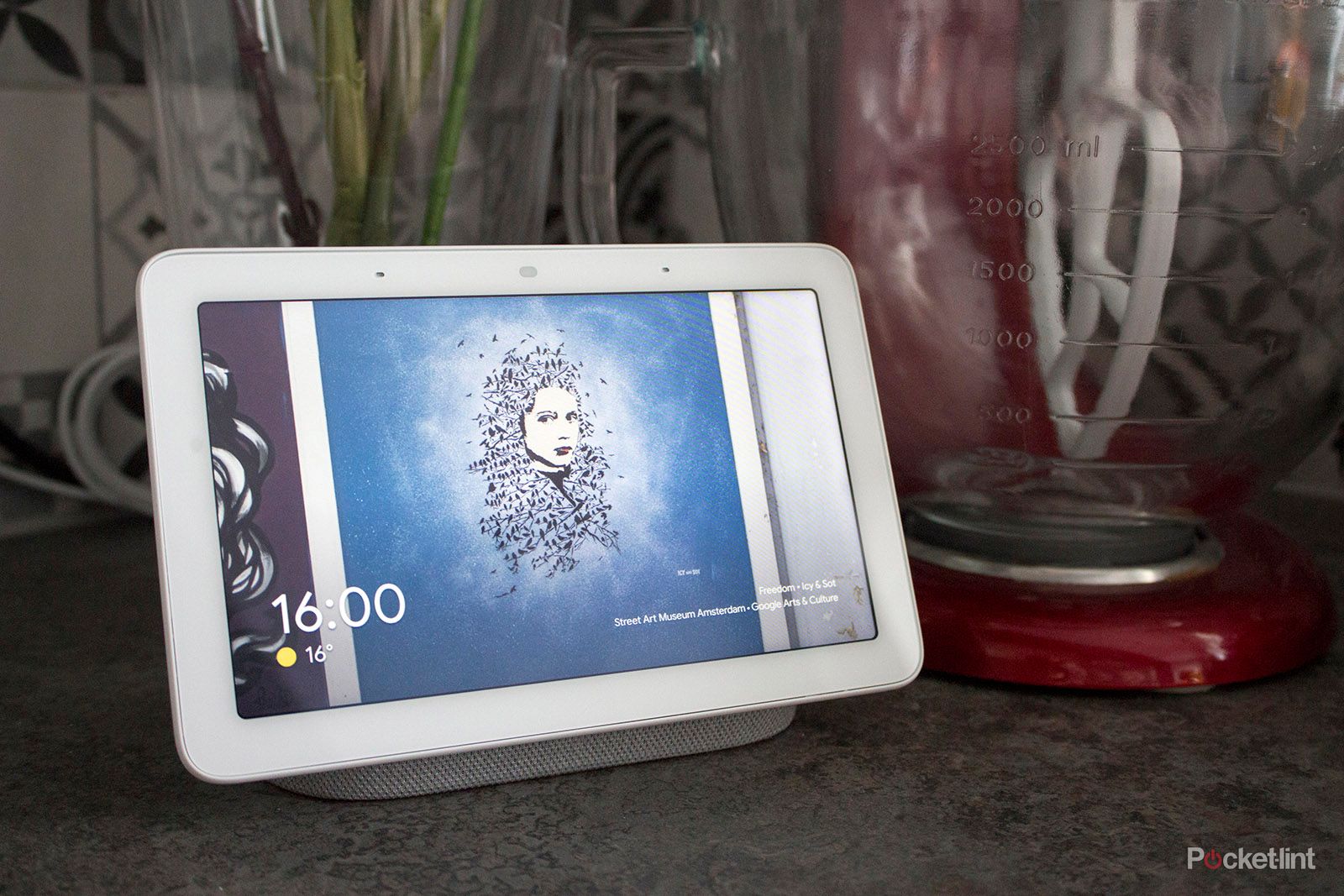 Google Nest Hub ホワイト Amazon.com: Google Nest Hub 7” Smart Display with Google