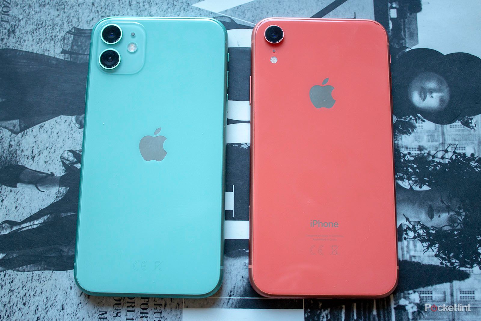 Apple iPhone 11 review: Still an iPhone for everyone?
