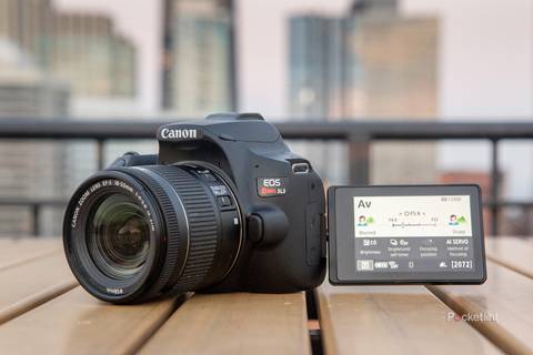 Digital Slr Canon 250d Features Canon EOS 250D Review (Rebel SL3