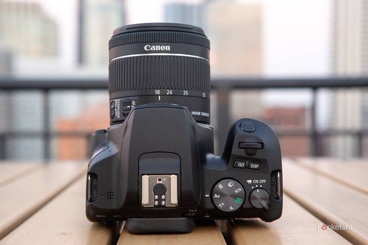 Canon EOS 250D review (Rebel SL3) - Pocket-lint