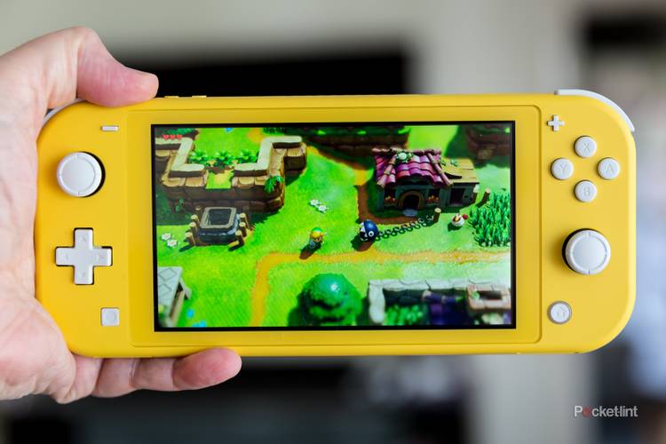 Nintendo Switch Lite review: Practically perfect