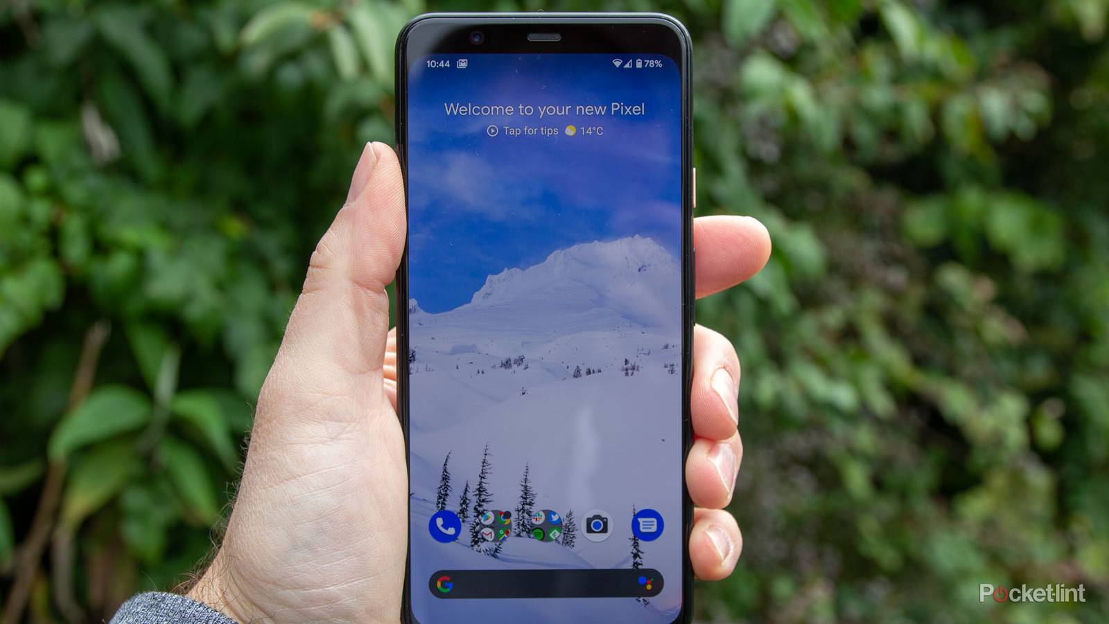 Google Pixel XL review