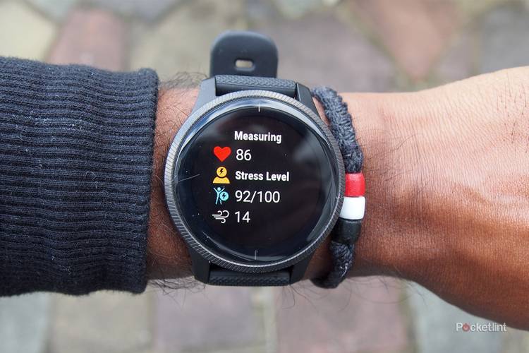 Wrist Vivoactive 4s Garmin Garmin Venu Review: Right On Time